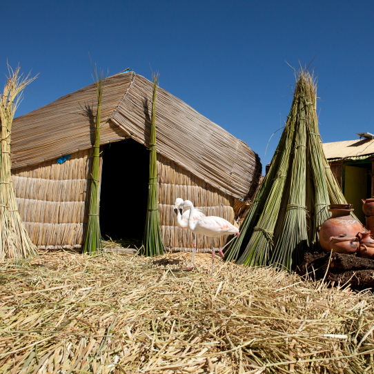 Uros cultural experience